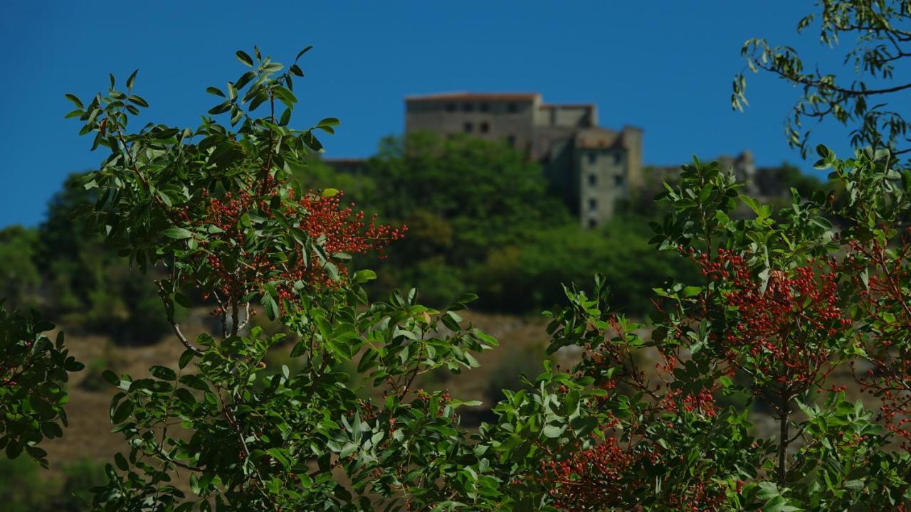 La Terrazza Sul Lago Turano Castel di Tora Exterior foto